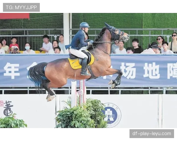 国际马球友谊赛：传统运动再获关注，国际马术锦标赛